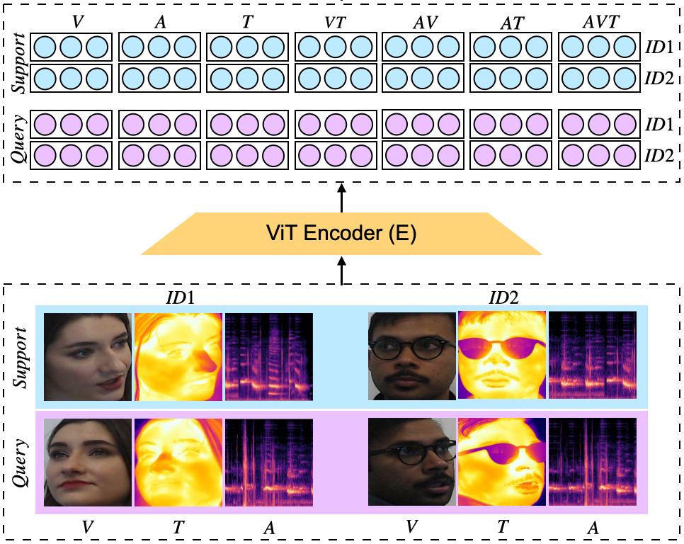 One Model to Rule Them All: A Universal Transformer for Biometric Matching